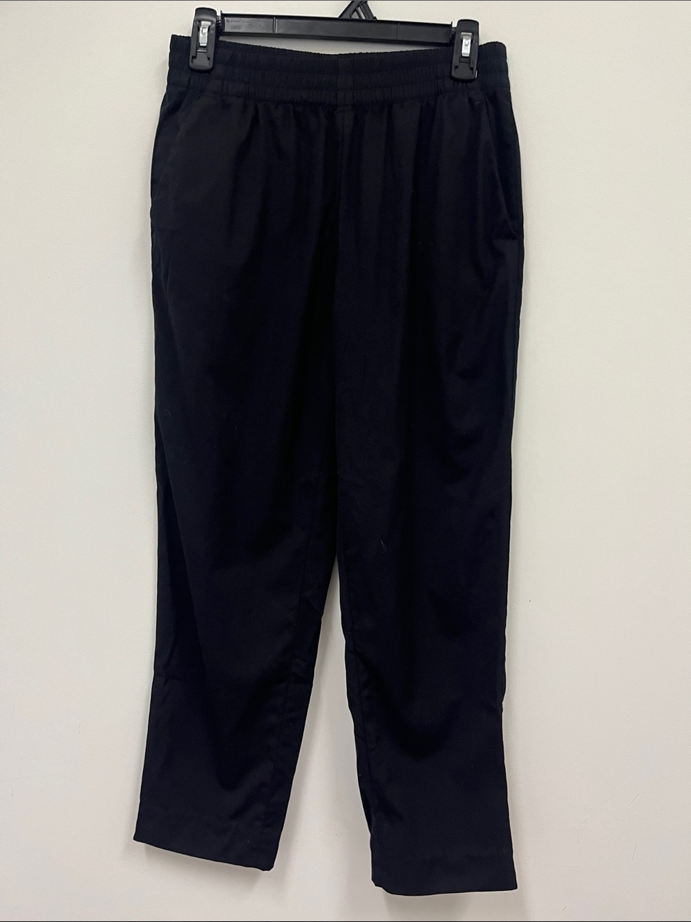 Everlane Elastic waistband 100% wool black ankle pants.  Size 6